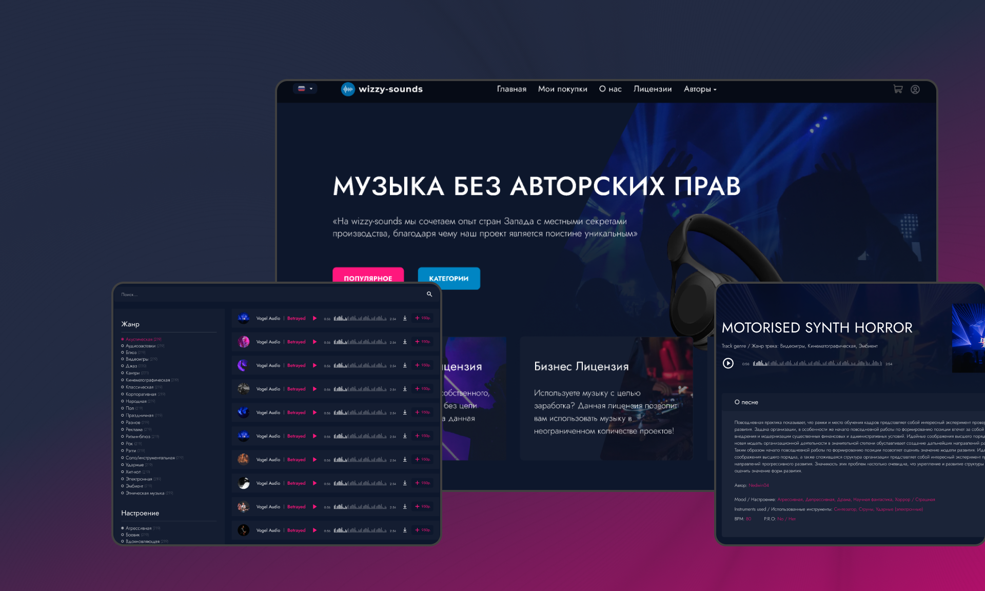 Development of the Wizzy Sounds music platform
